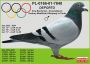 PL-0350-26-6633   Linia  Olimpia Wegielek x Olimpia DEPORTO