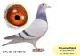 PL-0350-26-6646    Super kojarzenie na PITERA !!!