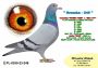 PL-0350-26-6646    Super kojarzenie na PITERA !!!