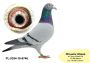 PL-0350-26-6657   Brat super lotniczki  za dwa lata 27 konk
