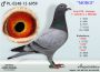 PL-0350-26-6657   Brat super lotniczki  za dwa lata 27 konk