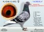 PL-0350-26-6673  „Wnuk  SPRINTERKI i NATIONALA ” oraz  linia AS 10086