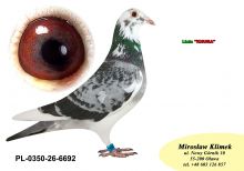 PL-0350-26- 6692   linia KNURA i Natalii oraz CLARY