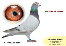 PL-0350-26-6696 linia Henrii Mentena – Olimpia TYTAN oraz linia ROXI x Linia PITERA 3 x 1 konk