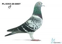 PL-0353-20-8807