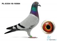 PL-0354-18-16984
