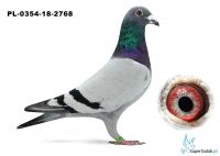 PL-0354-18-2768.