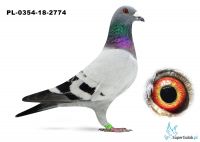 PL-0354-18-2774