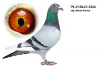 PL-0355-20-3334 org. Roman PAJĄK