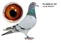 PL-0355-21-157 org. K. SZKOLNY - Potrójny MISTRZ POLSKI w 2020r !!!