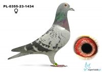 PL-0355-23-1434