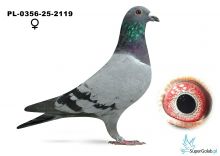 PL-0356-25-2119  Frąckowiak Roman