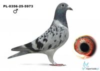PL-0356-25-5973