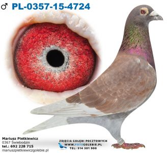 Pl-0357-15-4724-Daleki dystans