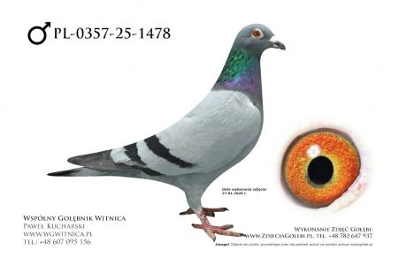 PL-0357-25-1478: Jan Mazurek