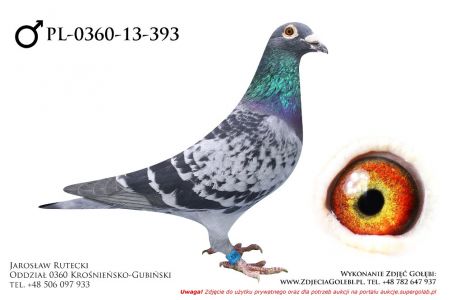 PL-0360-13-393 - samczyk