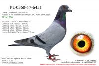 PL-0360-17-6451