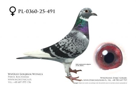 PL-0360-25-491: Jan Mazurek