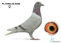 PL-0360-25-6086 Sidorowicz Zbigniew