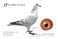 PL-0360-25-6315: Jaroslaw Rutecki, 41. Lotnik, m in 21m