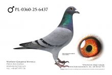 PL-0360-25-6437: Jaroslaw Rutecki