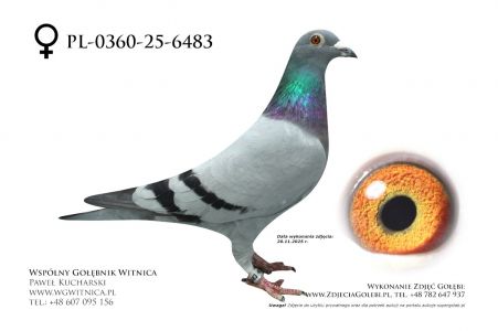 PL-0360-25-6483: Jaroslaw Rutecki