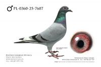 PL-0360-25-7607: Przemyslaw Pilecki, 20. Lotnik, m in 45m, 30m z FINAŁU