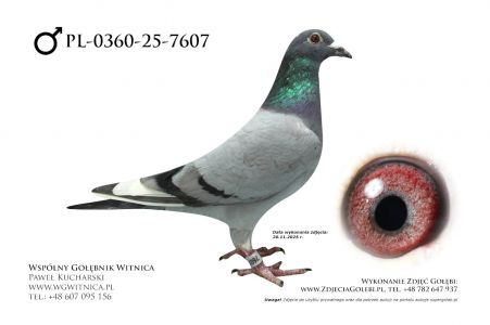 PL-0360-25-7607: Przemyslaw Pilecki, 20. Lotnik, m in 45m, 30m z FINAŁU