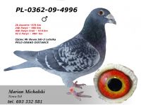 PL-0362-09-4996 - dalekodystansowy