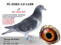 PL-0362-13-1169 - dalekodystansowy