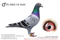 PL-0362-14-1644 - likwidacja hodowli