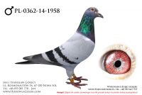 PL-0362-14-1958 - likwidacja hodowli