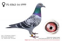 PL-0362-14-1999 - samiczka