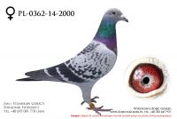 PL-0362-14-2000 - samiczka