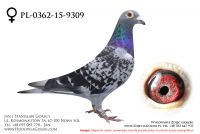 PL-0362-15-9309 - likwidacja hodowli