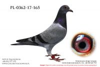 PL-0362-17-165