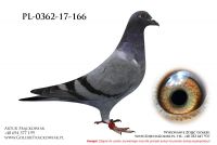 PL-0362-17-166