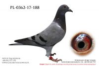 PL-0362-17-17-188