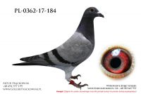 PL-0362-17-184
