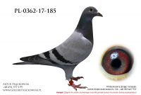 PL-0362-17-185