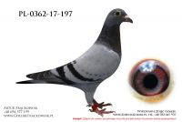 PL-0362-17-197