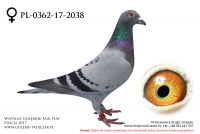PL-0362-17-2038