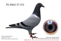 PL_0362-17-211