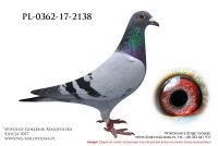 PL-0362-17-2138