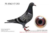 PL-0362-17-252