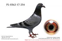 PL-0362-17-254