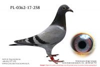 PL_0362-17-258