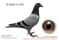 PL-0362-17-259