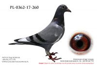 PL-0362-17-260