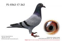 PL-0362-17-262